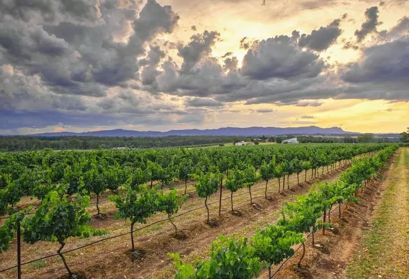 Motelli Adina Vineyard