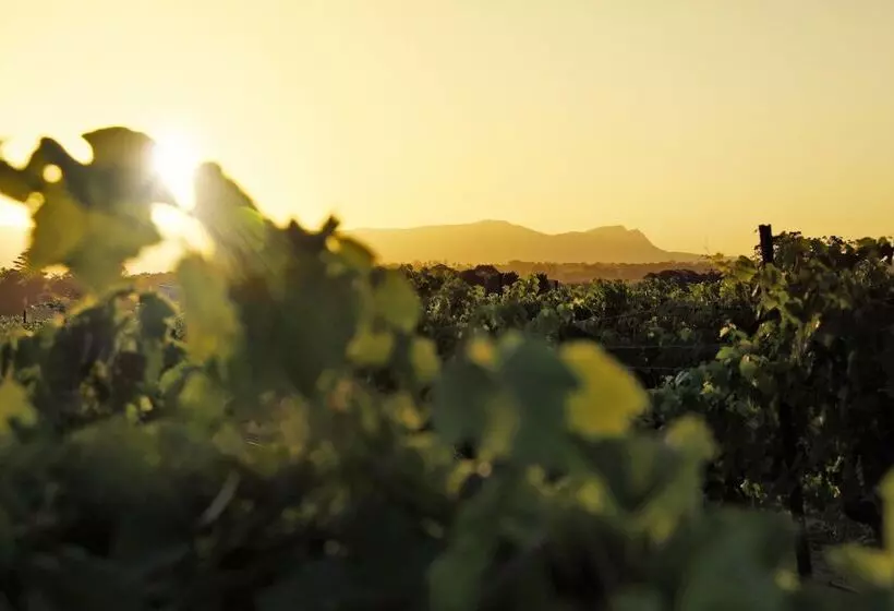 Motelli Adina Vineyard