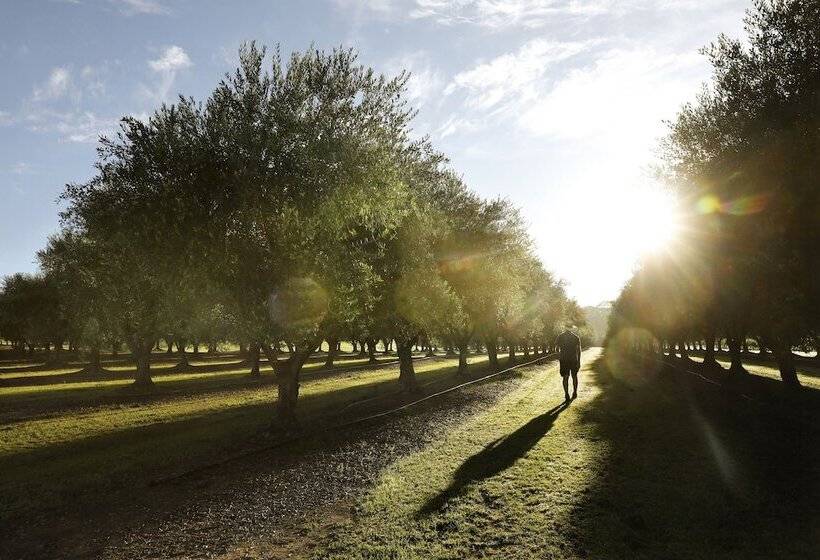 汽车旅馆 Adina Vineyard