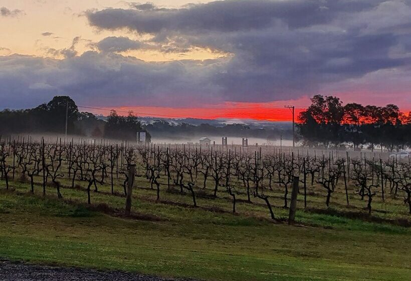 汽车旅馆 Adina Vineyard