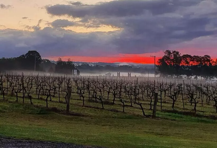 Motelli Adina Vineyard