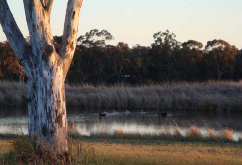 汽车旅馆 Adina Vineyard