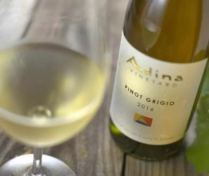 Motelli Adina Vineyard