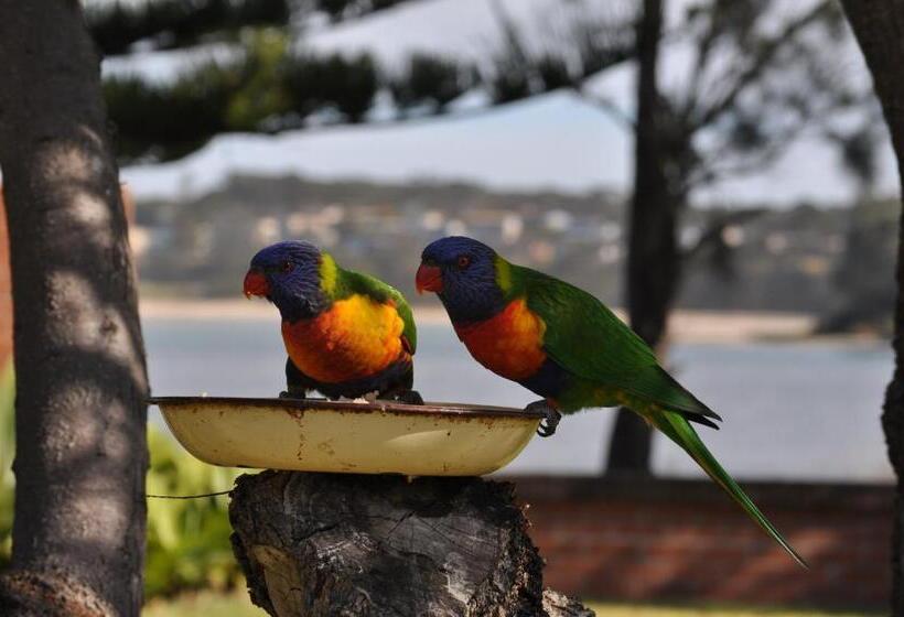 모텔 Archy S On The Lake