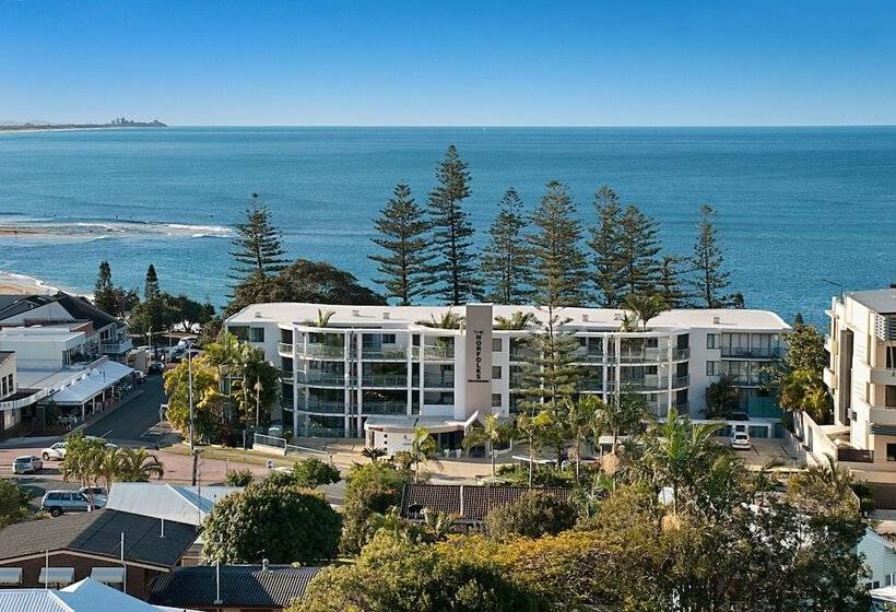 Norfolks On Moffat Beach