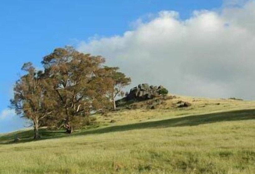 渡假胜地  Ford House Bed & Breakfast