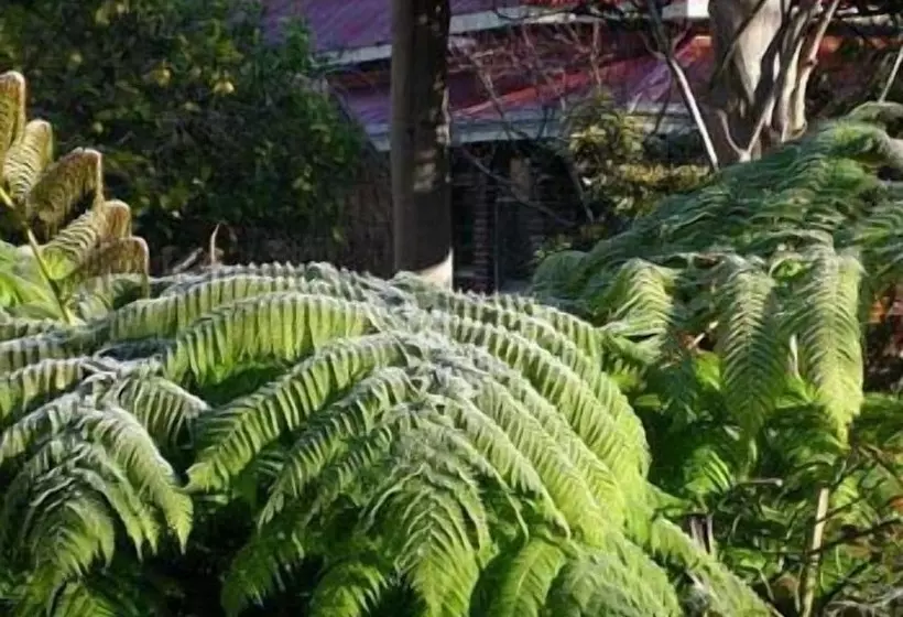 Lomakeskus Ford House Bed & Breakfast