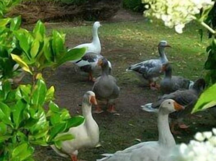 渡假胜地  Ford House Bed & Breakfast