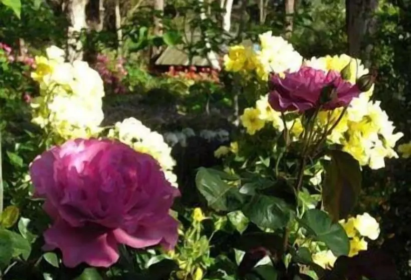 Lomakeskus Ford House Bed & Breakfast