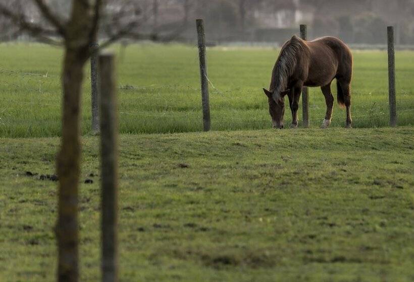 هتل Agriturismo Al Botteniga