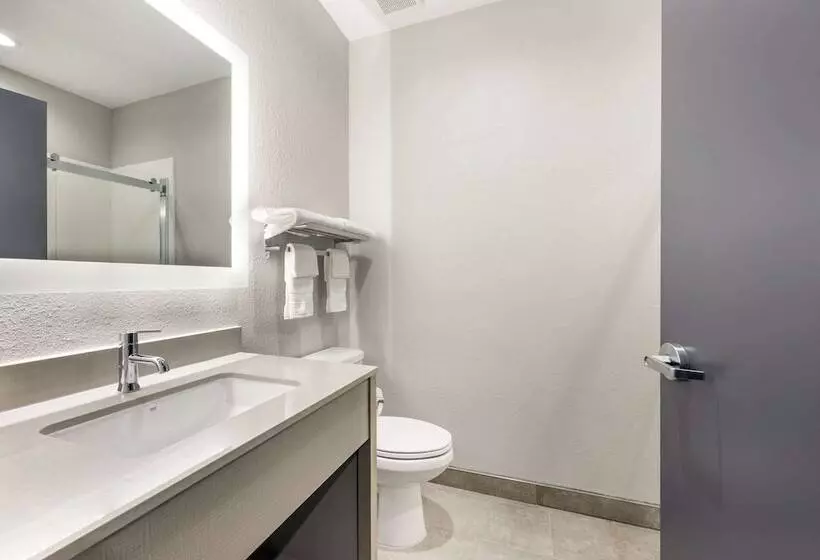 هتل Quality Inn & Suites Joelton   Nashville
