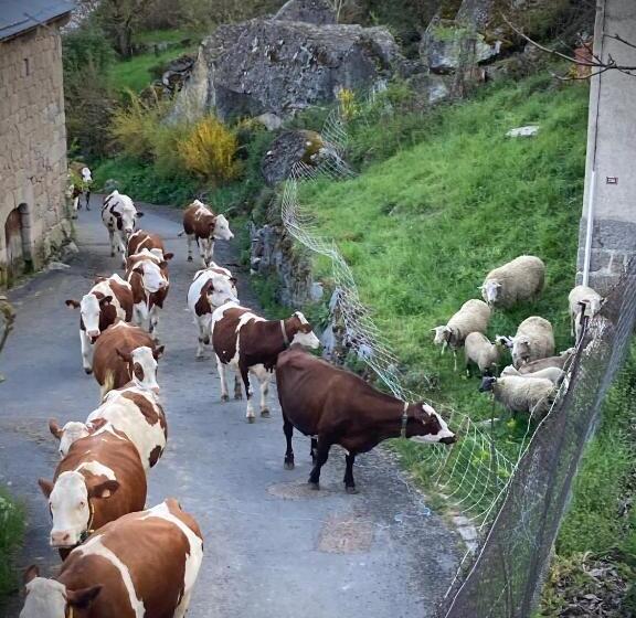 住宿加早餐 Chambres Et Tables D Hôtes Les Ateliers De Pontajou Pèlerin Navette Gratuite à Saugues
