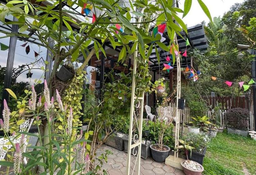 בית מלון כפרי Rocky Cafe & Mini Apartment