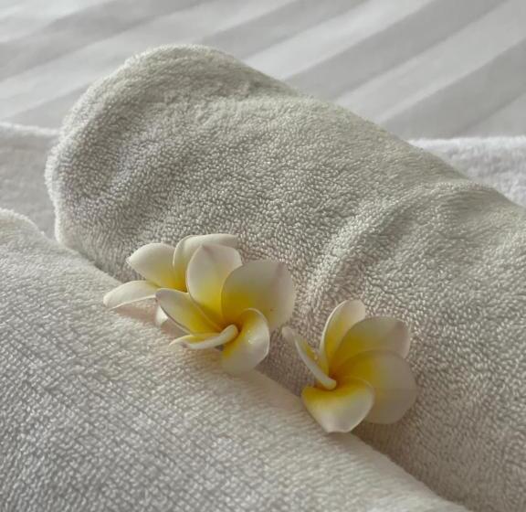 בית מלון כפרי Rocky Cafe & Mini Apartment