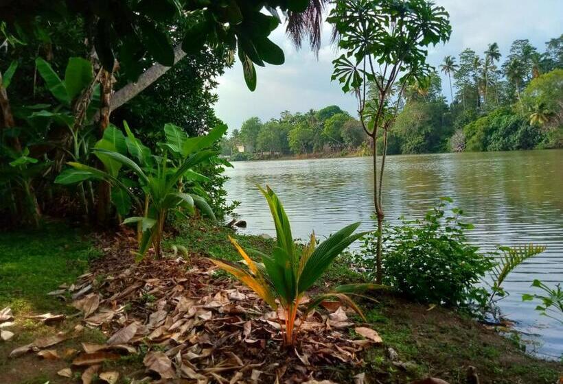 پانسیون Aknara River Rest