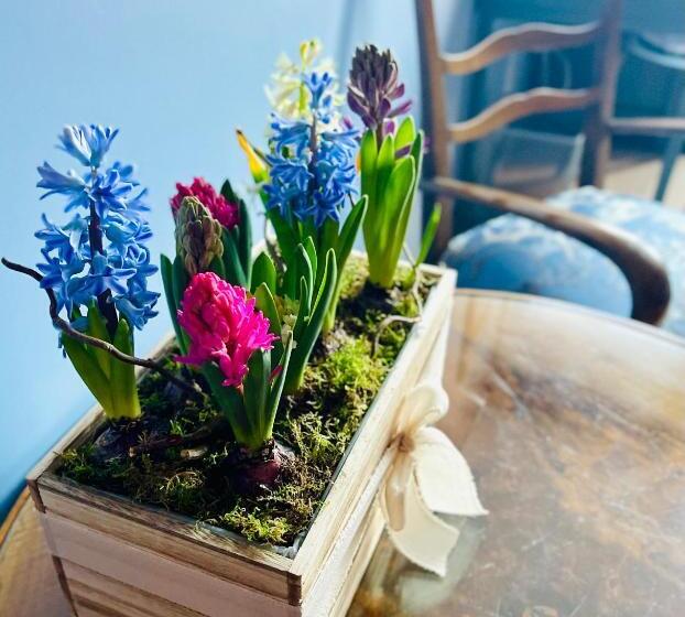 پانسیون B&b Casa Viktoria  Family Suite Con Bagno Privato