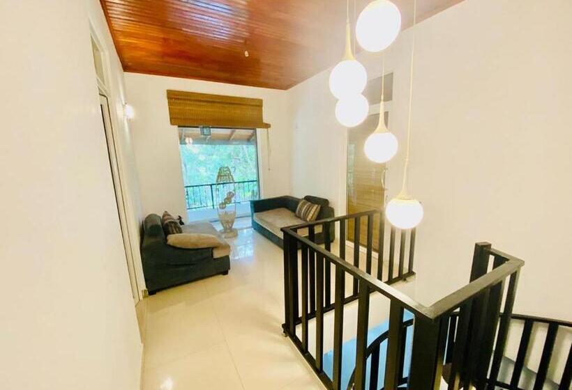 Pension (Hôtel basse catégorie) The Shade Brothers