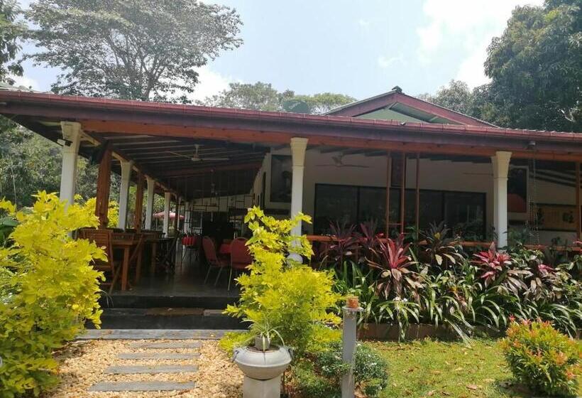 Hôtel Chill N Chillltd