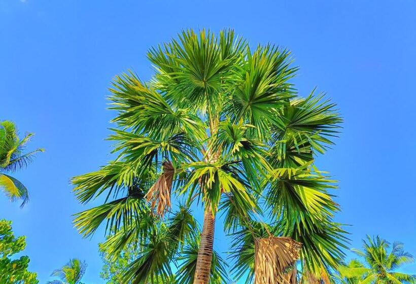 Pensjonat A. Zaragosa Lodging House