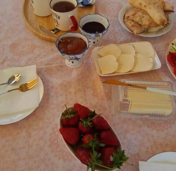 پانسیون Guest House Nano