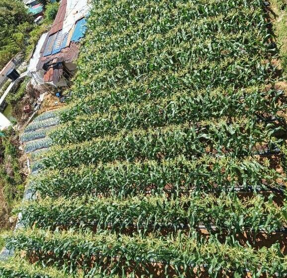 Pensão Sri Juliana Chalet