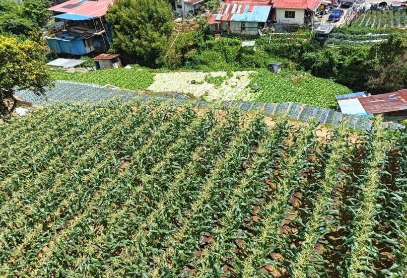 Pensão Sri Juliana Chalet