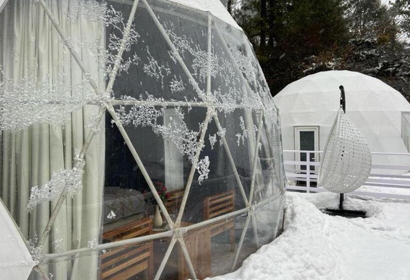 Pensão Trishalyaa Ecostays