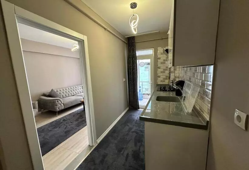 هتل Viyana Premium Pansiyon