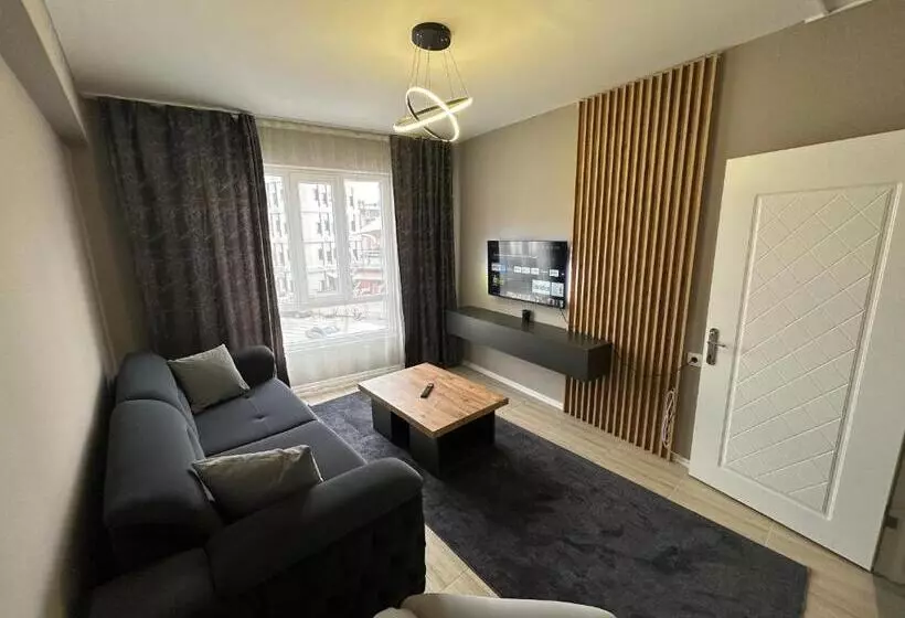 هتل Viyana Premium Pansiyon