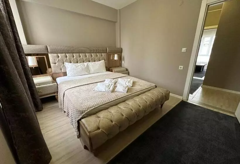 هتل Viyana Premium Pansiyon