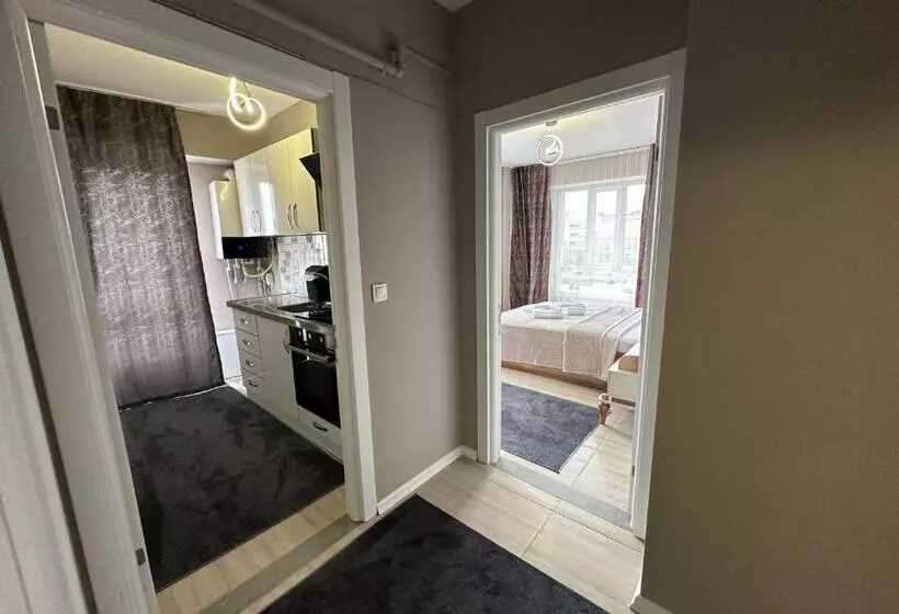 هتل Viyana Premium Pansiyon