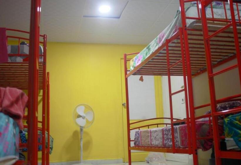 Joe S Layover Hostel Boquete