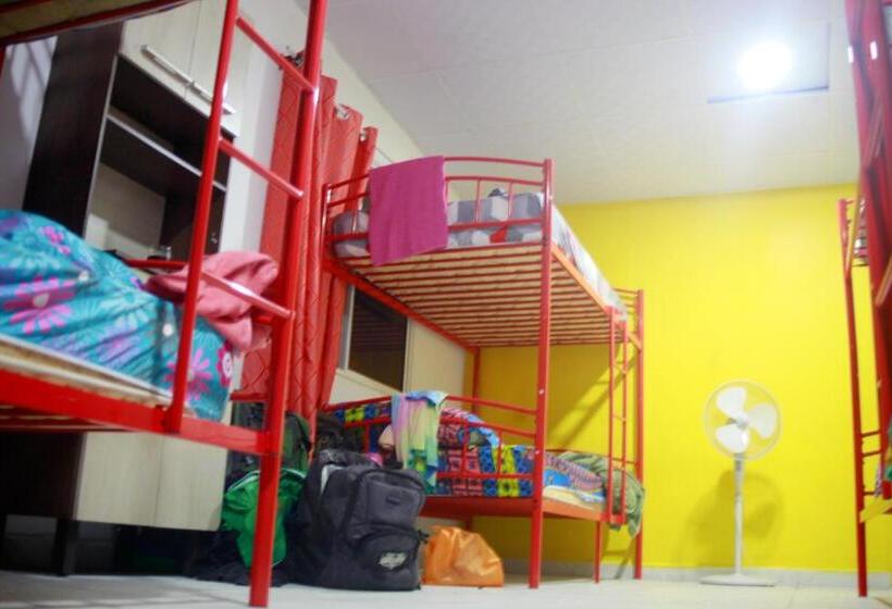 Joe S Layover Hostel Boquete