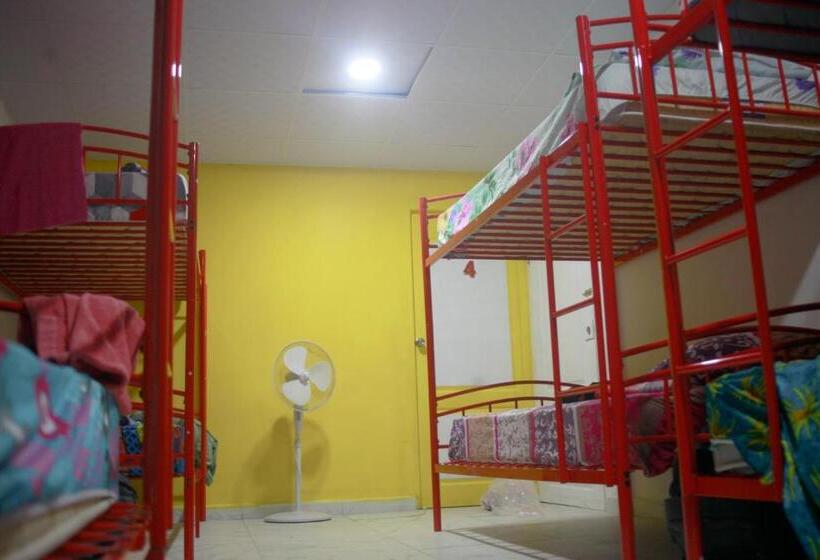 Joe S Layover Hostel Boquete