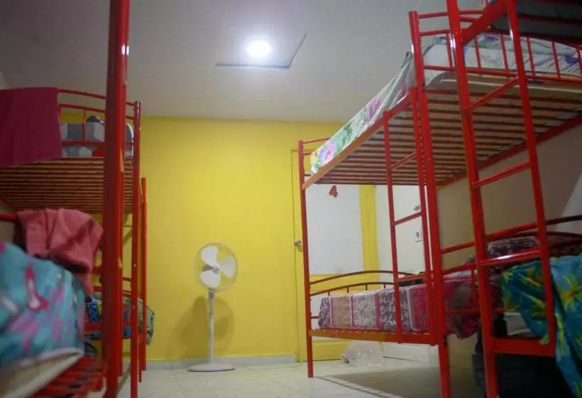 Joe S Layover Hostel Boquete