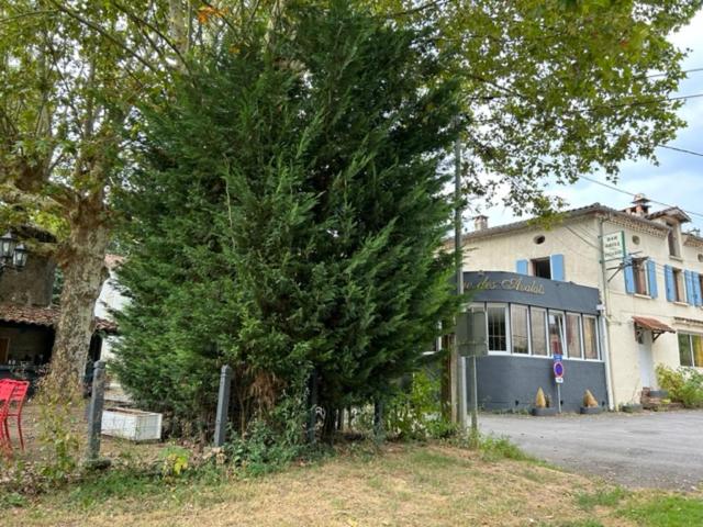 پانسیون Auberge De Avalats