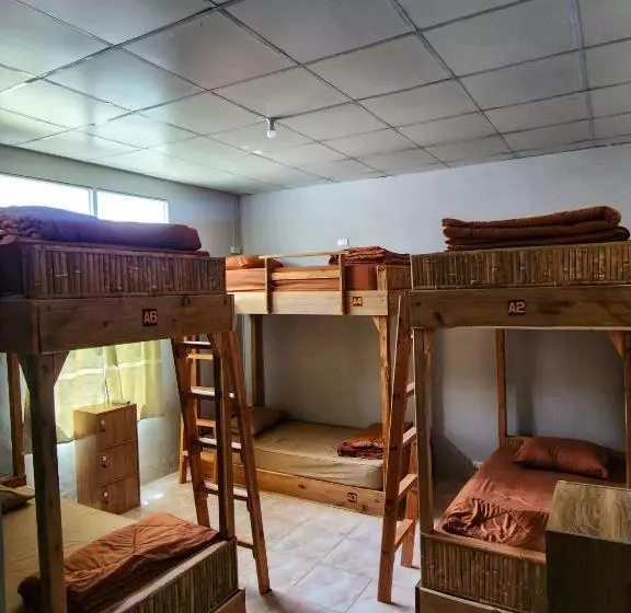 Seven Nine Hostel   Calm Place To Sleep