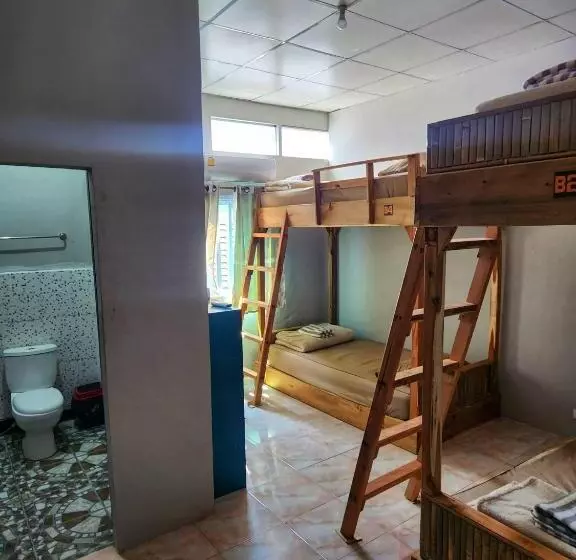 Seven Nine Hostel   Calm Place To Sleep