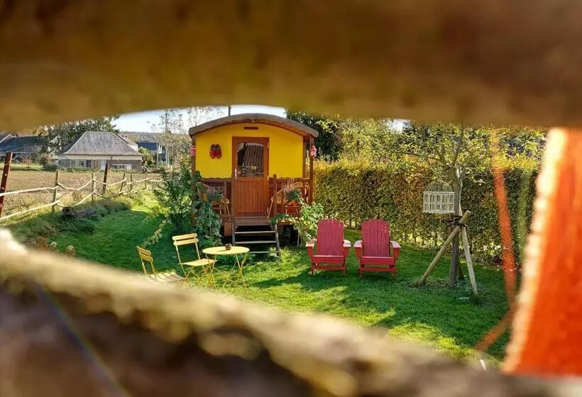 ベッドアンドブレックファースト Cabane La Tête Dans Les étoiles