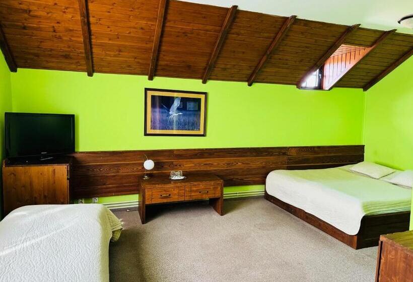 בית מלון כפרי Penzion Myslivna