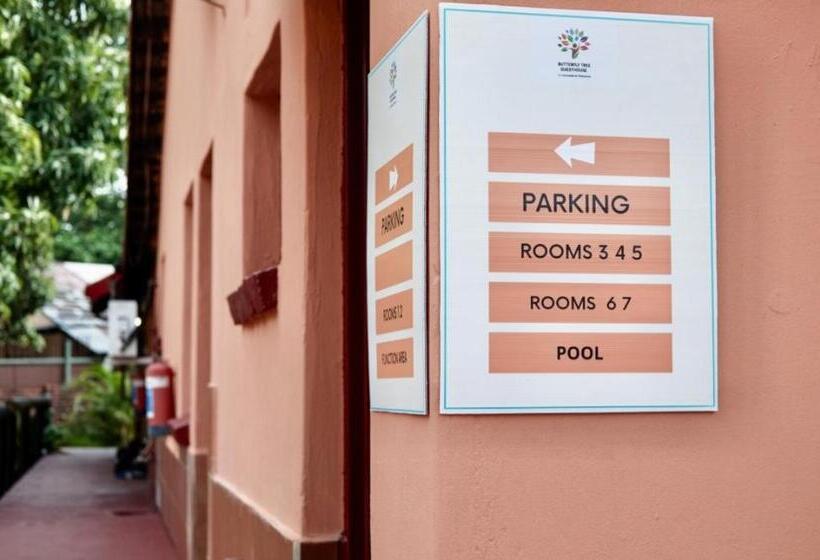 Pension Butterflytree Guesthouse