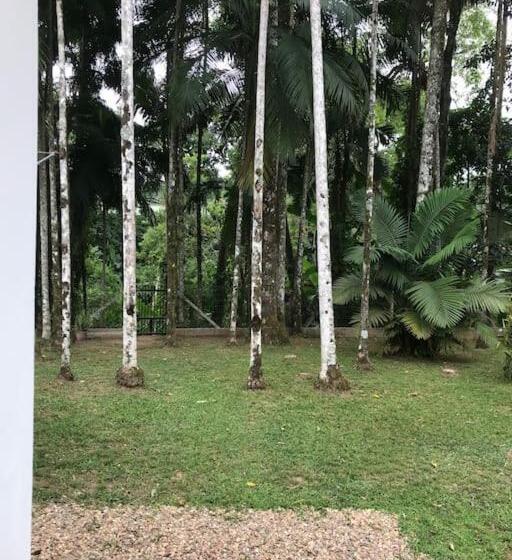 بنسيون Microcasa Completa No Centro