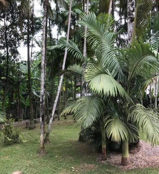 بنسيون Microcasa Completa No Centro