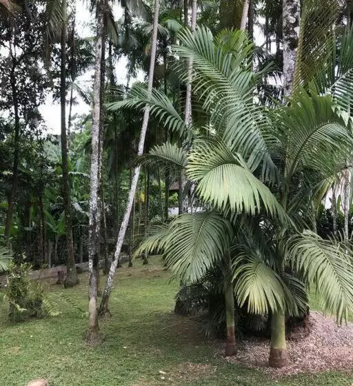 ペンション Microcasa Completa No Centro