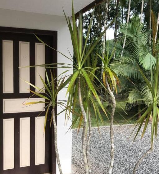 بنسيون Microcasa Completa No Centro