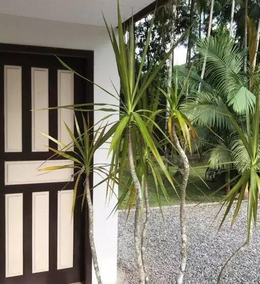 ペンション Microcasa Completa No Centro