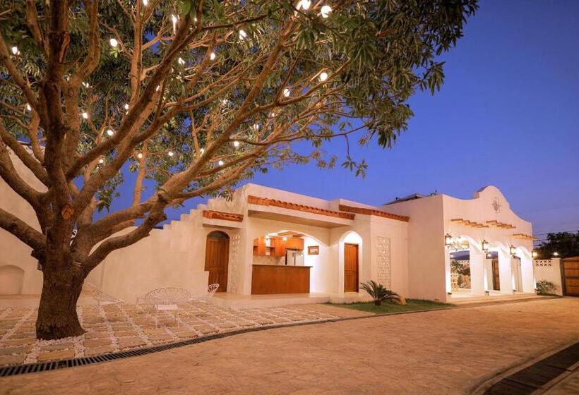 Bed and Breakfast Mija Casita