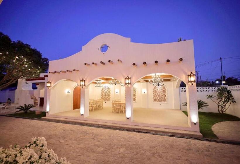 Bed and Breakfast Mija Casita