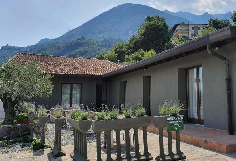 ホテル Agriturismo Il Moro