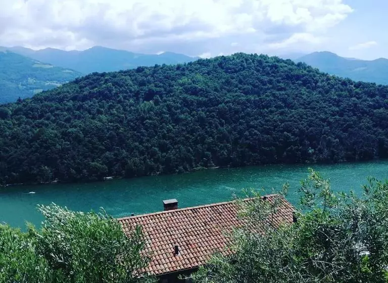ホテル Agriturismo Il Moro